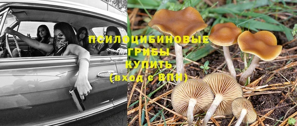 соль ск Алексин