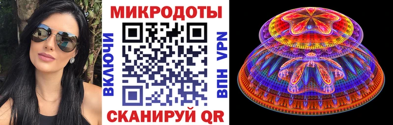 закладка mega ССЫЛКА Псилоцибиновые грибы GOLDEN TEACHER Советская Гавань